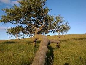 제닉스게이밍의자 추천 최신 인기 모델 살펴보기