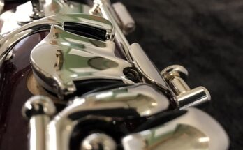 바순의 매력과 연주 비법, 초보부터 전문가까지 모두 알아보기