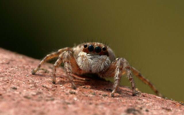 졸리점퍼대여로 따뜻하고 스타일리시하게 겨울 보내기