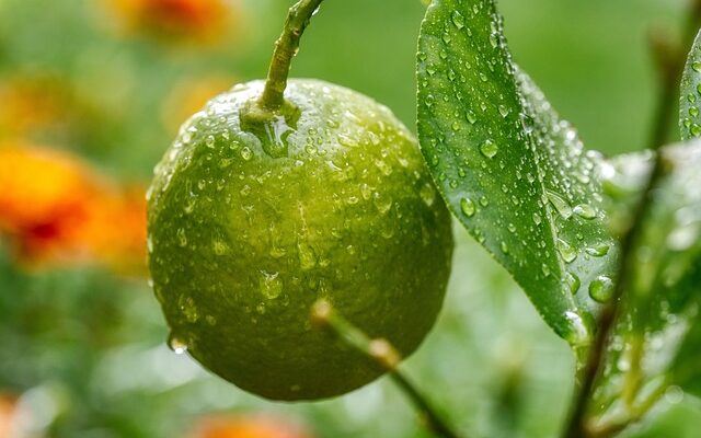 에어커튼900으로 건물 내부를 쾌적하게! 추천 이유와 설치 방법