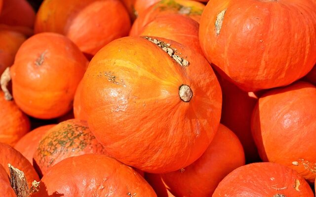 멸티쿠커로 더욱 편리하게! 다양한 요리와 사용법 소개